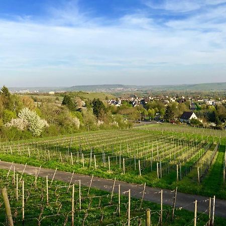 Das Apartment Am Weinberg Geisenheim Εξωτερικό φωτογραφία