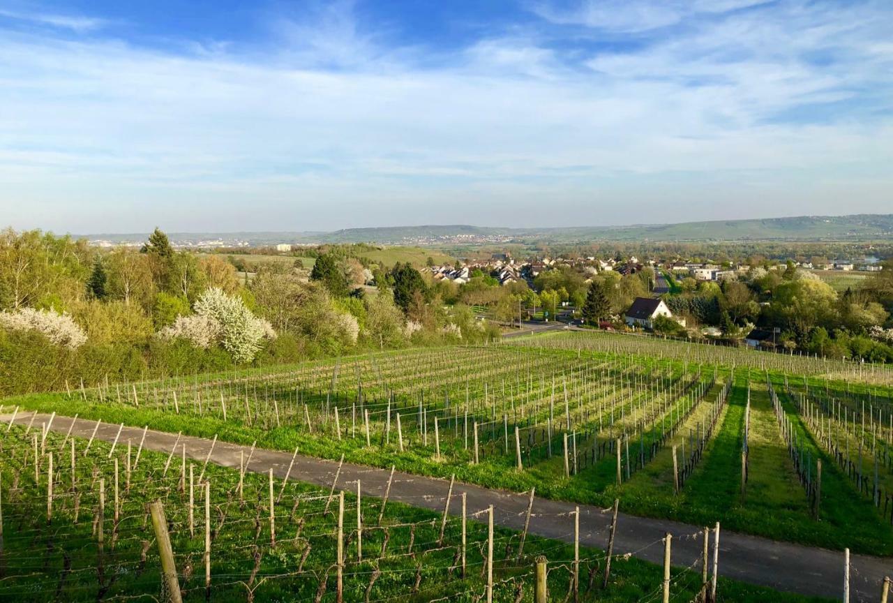 Das Apartment Am Weinberg Geisenheim Εξωτερικό φωτογραφία